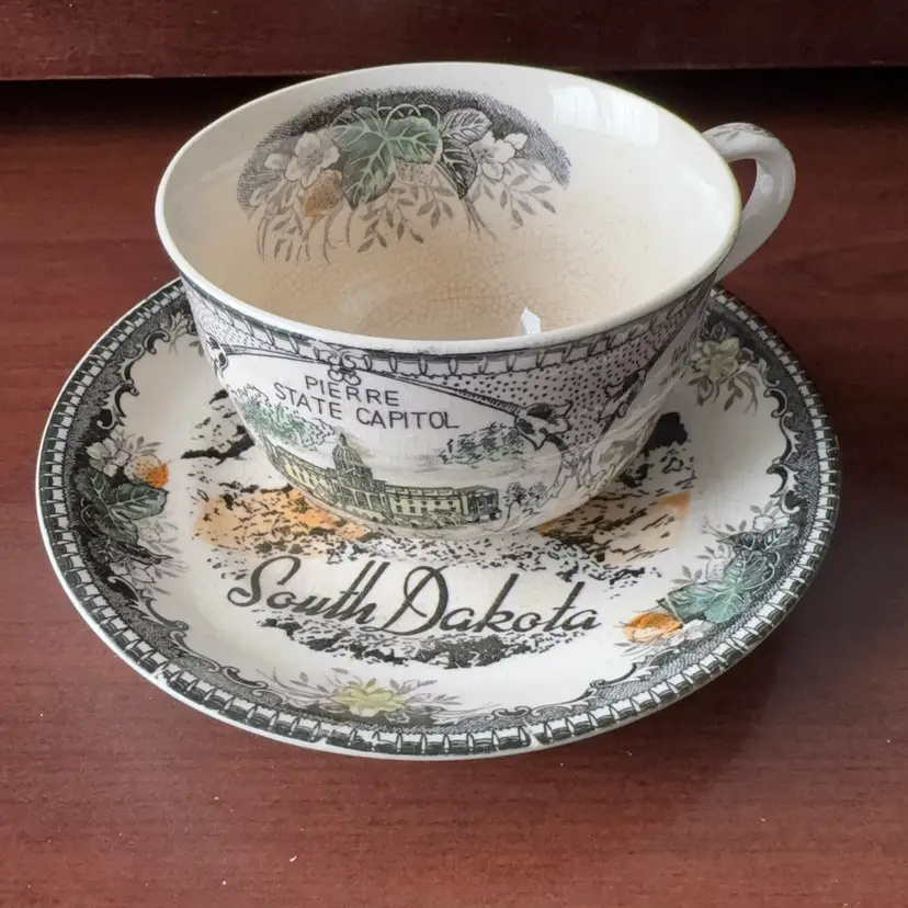 Vintage SouthDakota Souvenir Teacup