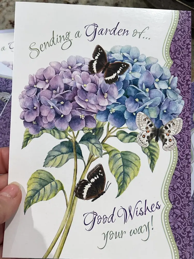 5 Butterfly Greeting Cards Blank & Birthday Greeting inside W Beautiful Matching Envelopes