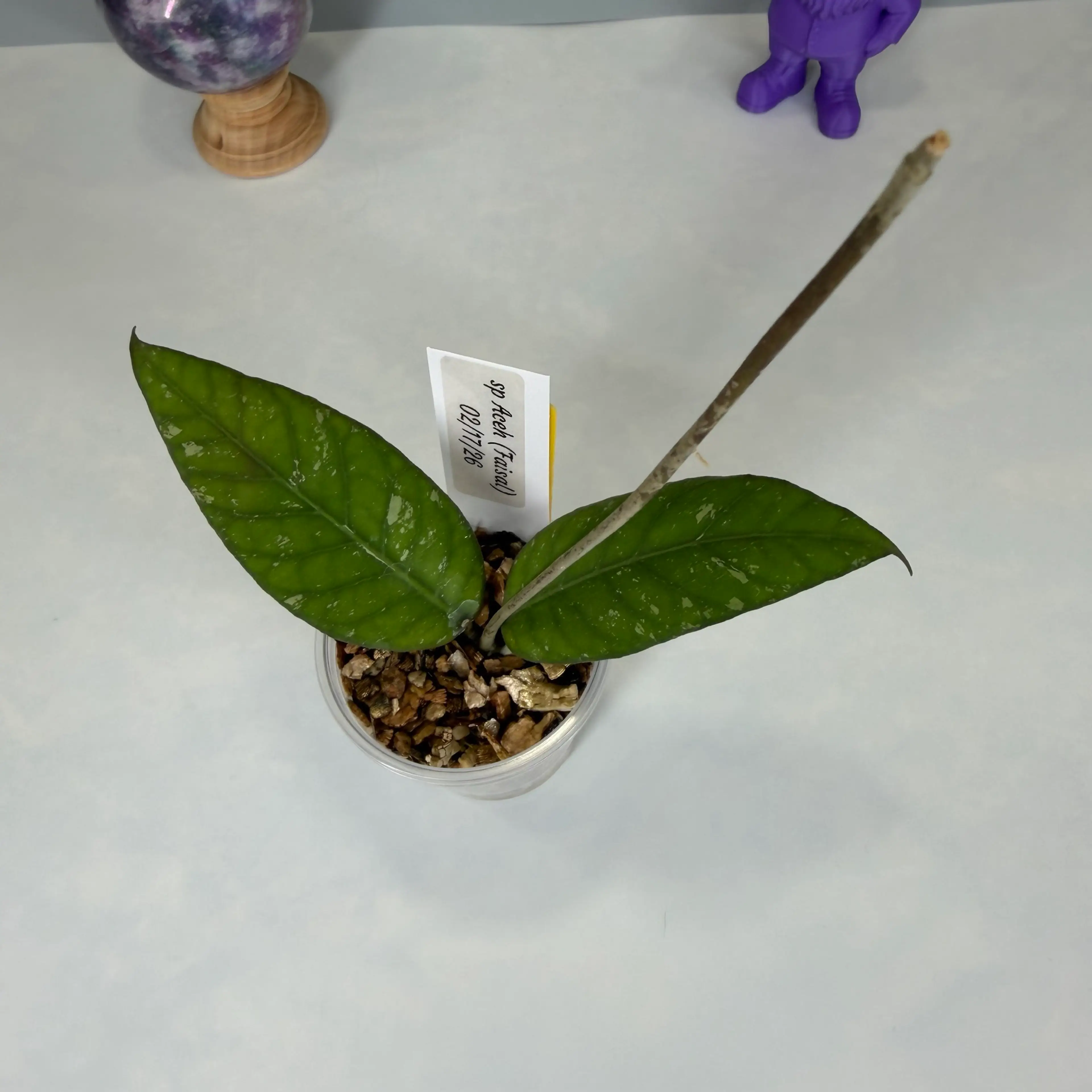 Image 2 of 2
