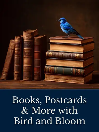 Books, Postcards & More