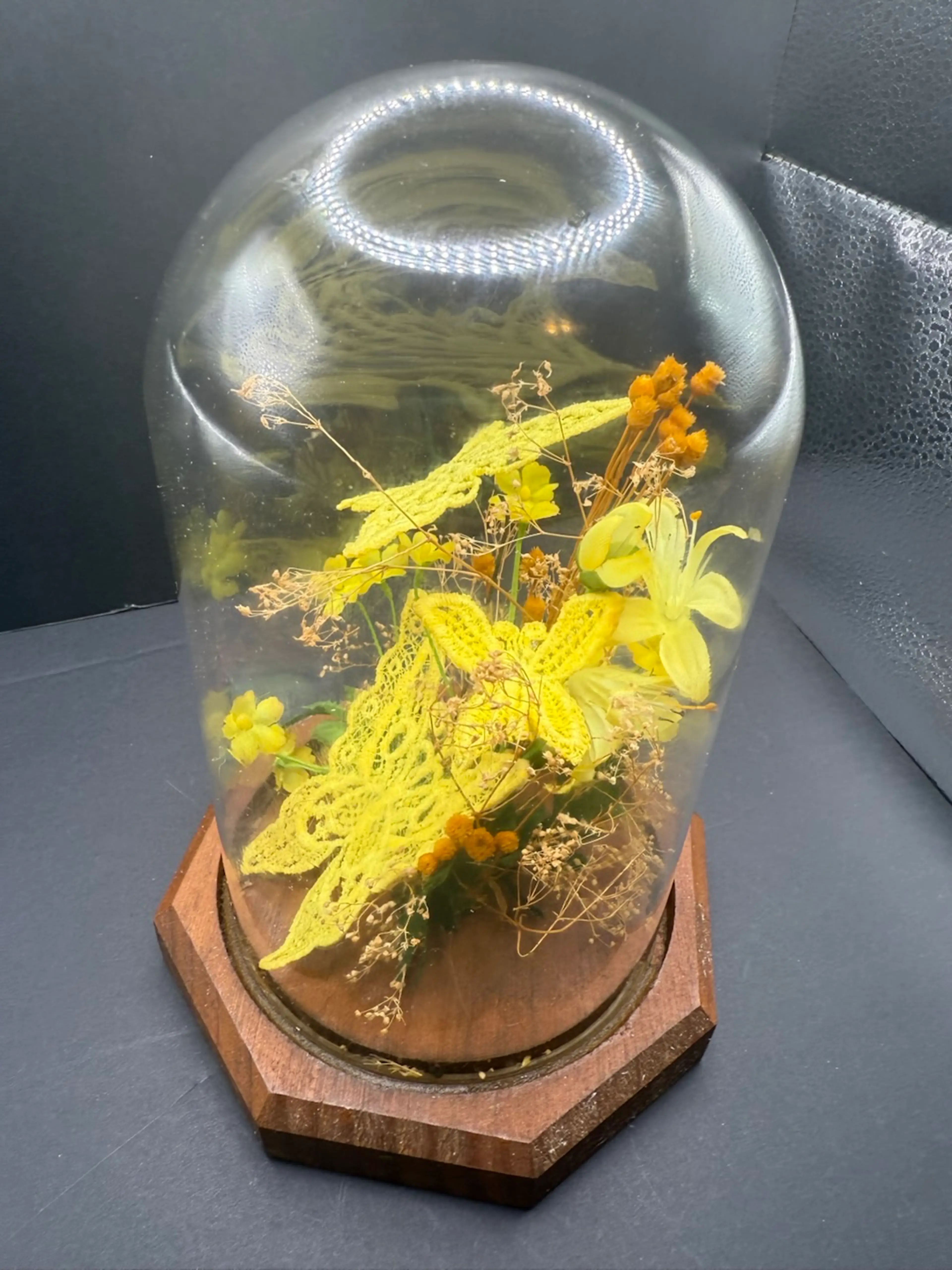 Image 2 of 5