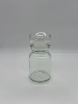 Clear Glass Apothecary Jar Bubble Lid Belgium 6”