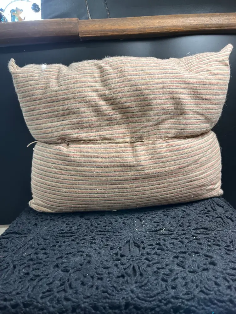 #01 Primitive Pillows w/ Old Tick Cloth Covering w/ Bunny