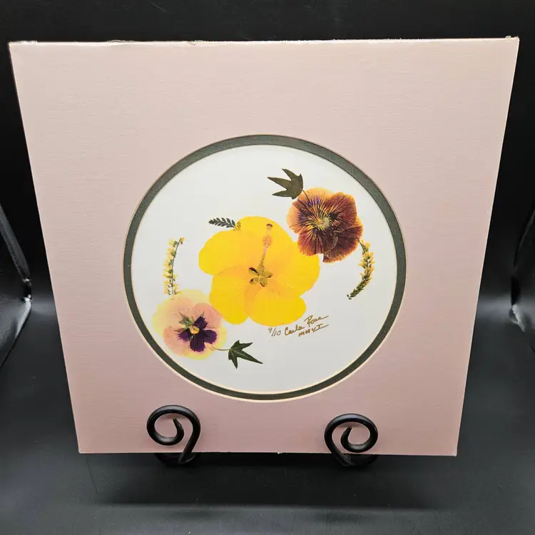 Flowers Of Aloha Carla Rose Hibiscus Botanical Art Signed Ltd Edition 9/10 NOS