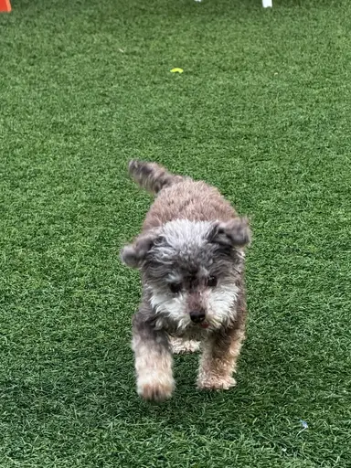 Jewelry Show With Maci And Matt