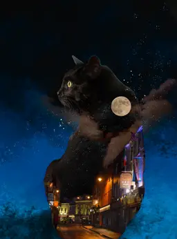 Night Life Framed Photo