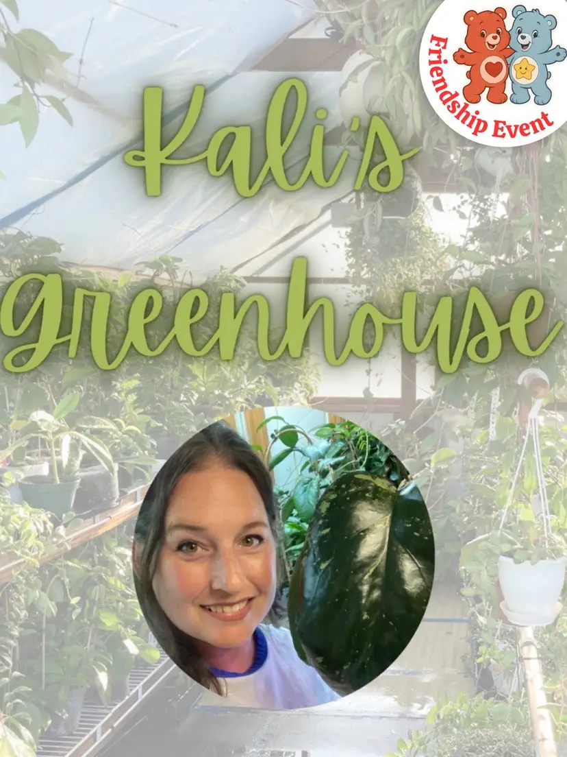 Livestream thumbnail