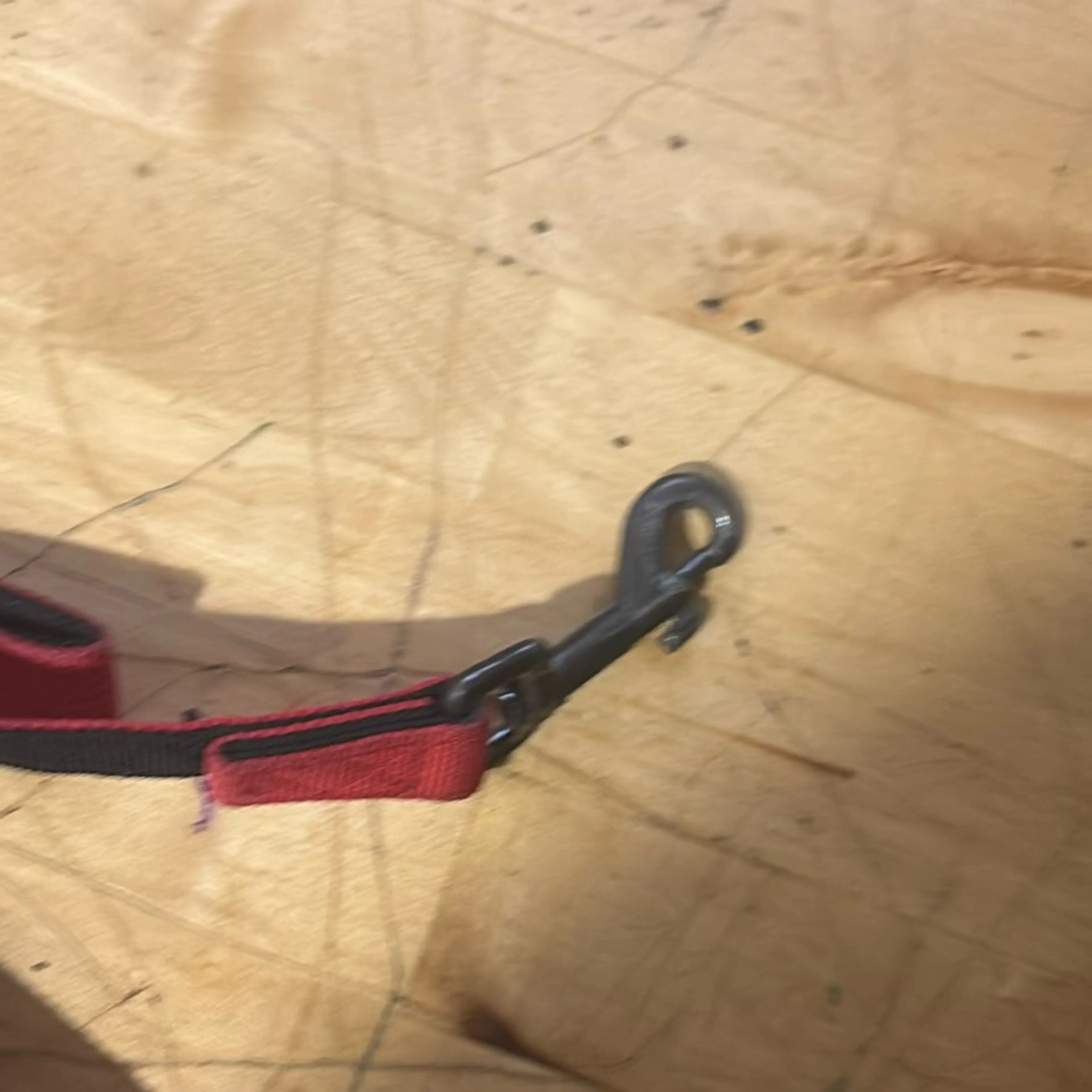Image 2 of 3