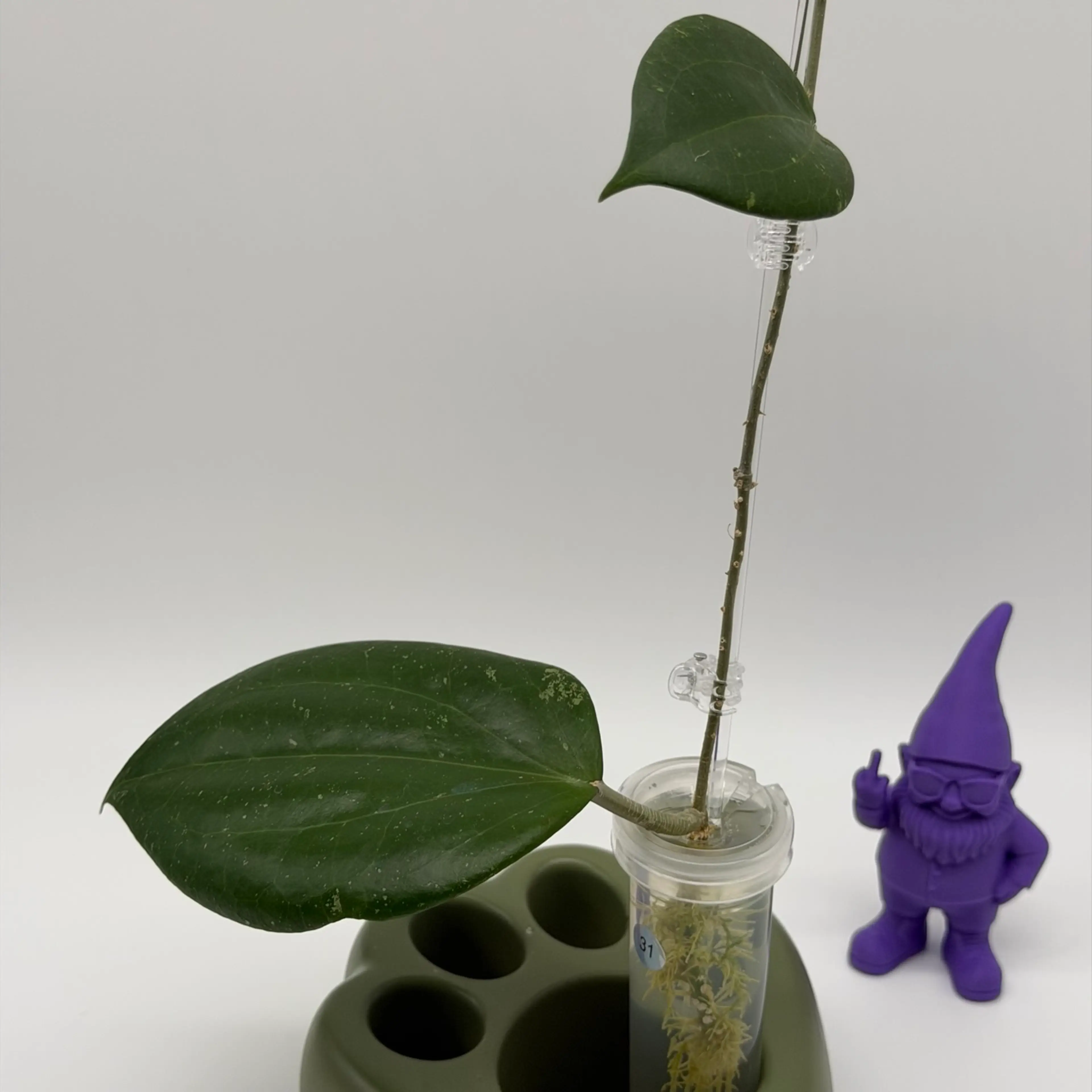 Image 2 of 2