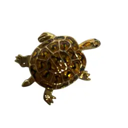 Turtle Brooch