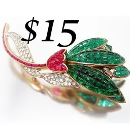 #14 - Jewelry As shown $15