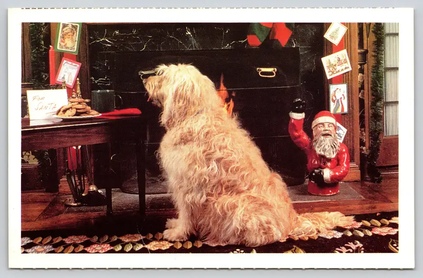 Postcard Dog on Christmas North Shore Animal League America New York - 14640