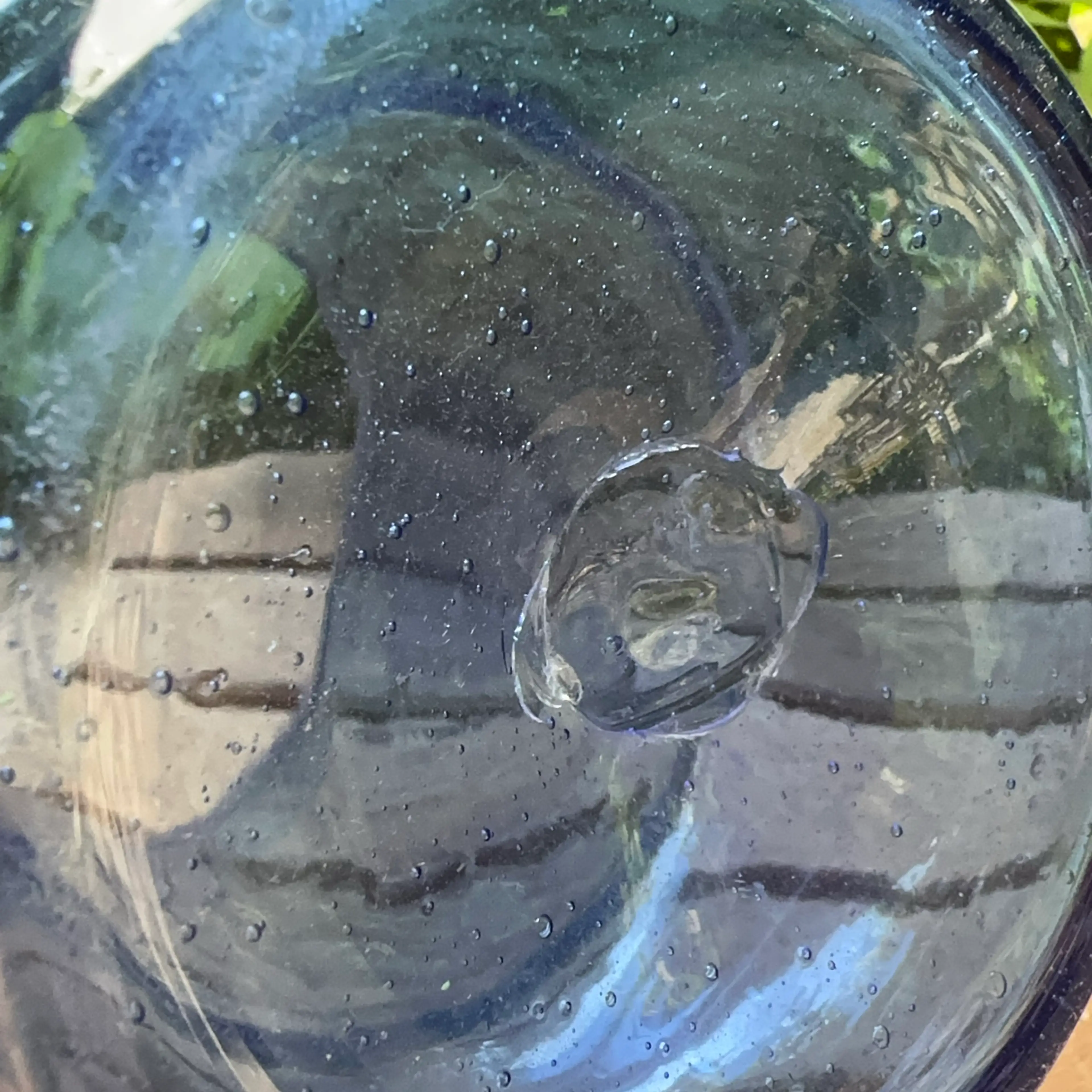 Image 5 of 5
