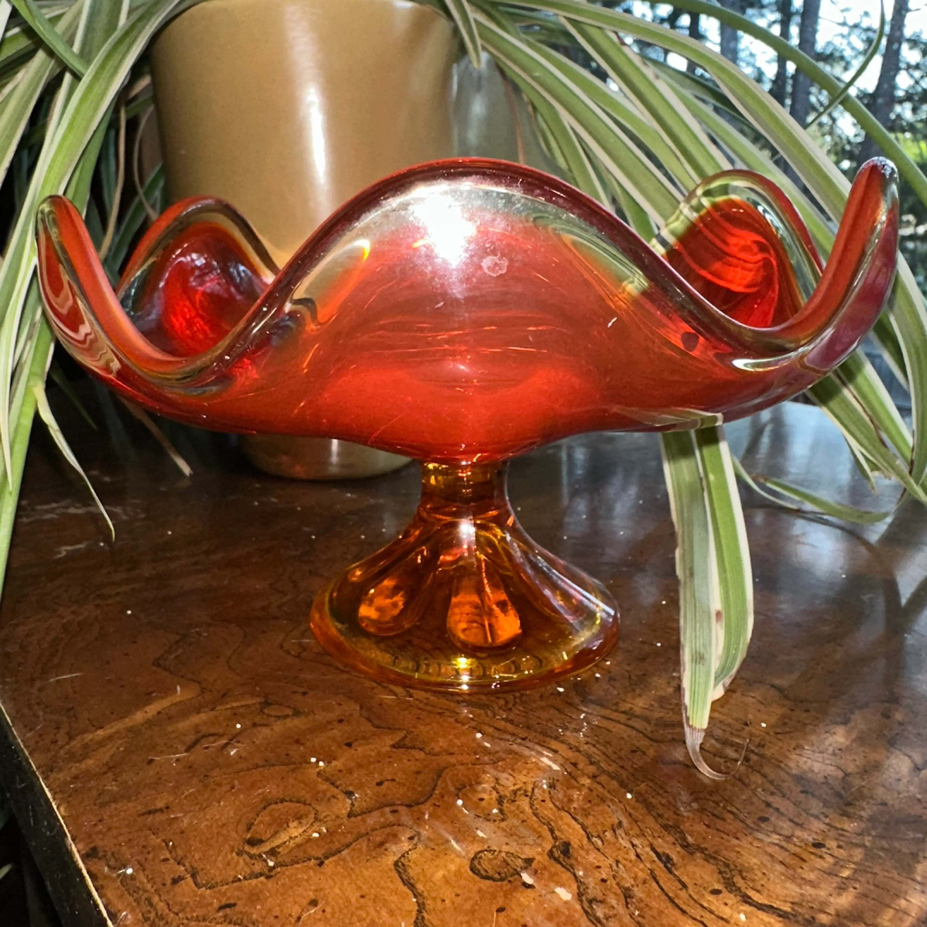 Image 4 of 6