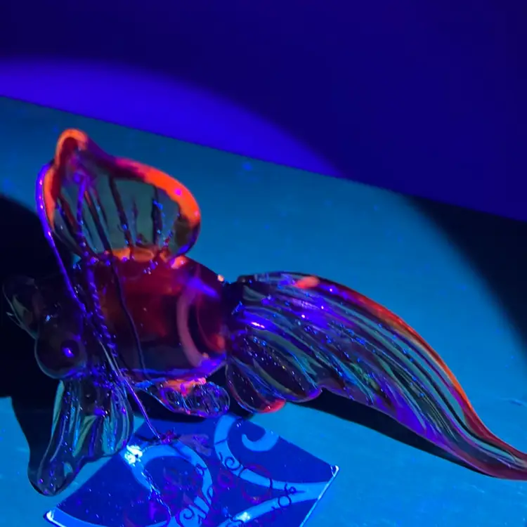 A New W Tag Global Village Glass Studios Art Glass Fish With Inflow 😎