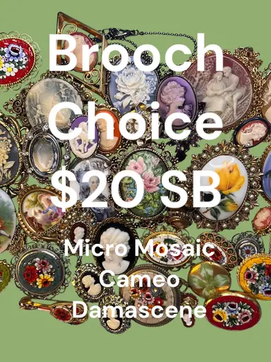 Brooch Choice SB $20