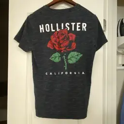Hollister Womens Dark Gray Tee T Shirt S Small Bust 36” Red Rose Roses Graphic