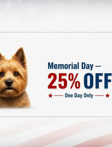25% Will Be Taken Off Of Listed Auction Items At Time Of Live