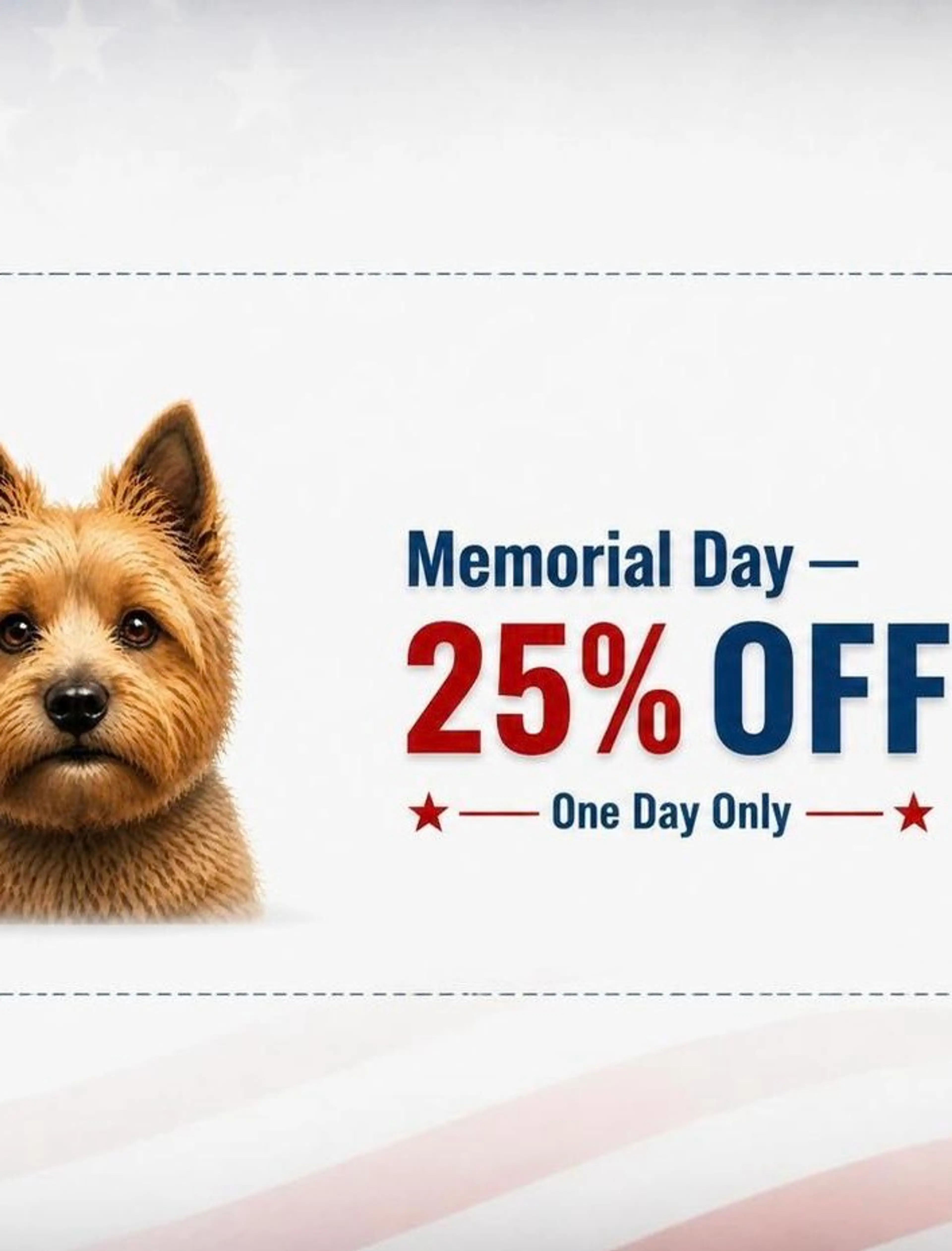 25% Will Be Taken Off Of Listed Auction Items At Time Of Live