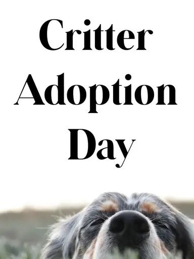 Critter Adoption Day ~ All Animal Items 🐱🐶🦁🐰