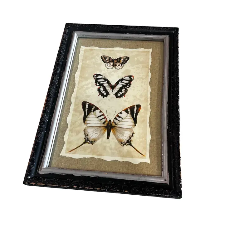 005 Creative  Co Op Butterfly Framed Wall Hanging