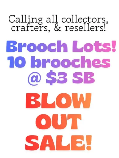 BROOCH 🤩 10 Pieces @ $3SB!! BLOW OUT SALE!! 