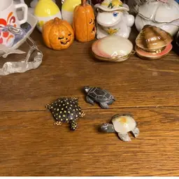 Turtle Turtles