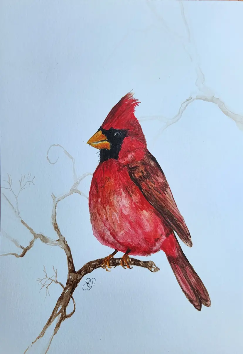 Cardinal Original Watercolor Painting Signed By The Artist 5x7