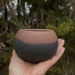 3.5” Cowbird Concrete Planter