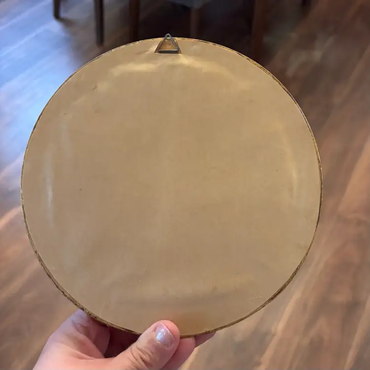 Vintage Gold Framed Porcelain Biscuit Medallion On Velvet Backing