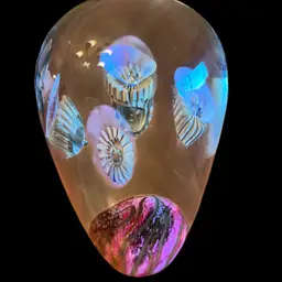 01 Robert Eickholt 7” Sea Urchin Dome Paperweight 🤩🪸