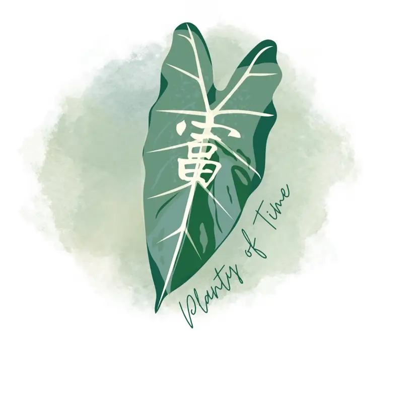 #03 - Anthurium Seedling grow together