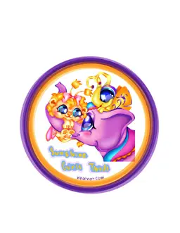 sunshinegirlsthrifttoo