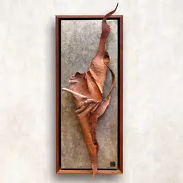 "Meiotus" Floating brushstrokes sculpted by the living Eucalyptus