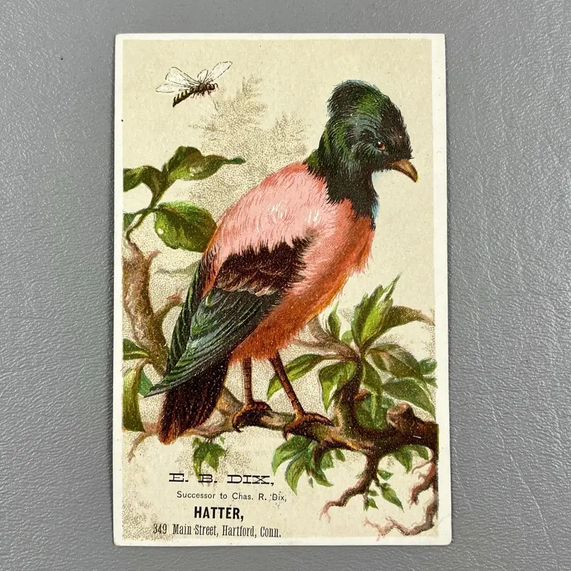 Victorian Trade Card Beautiful Pink Green Bird Bee EB Dix Hatter Hartford Conn