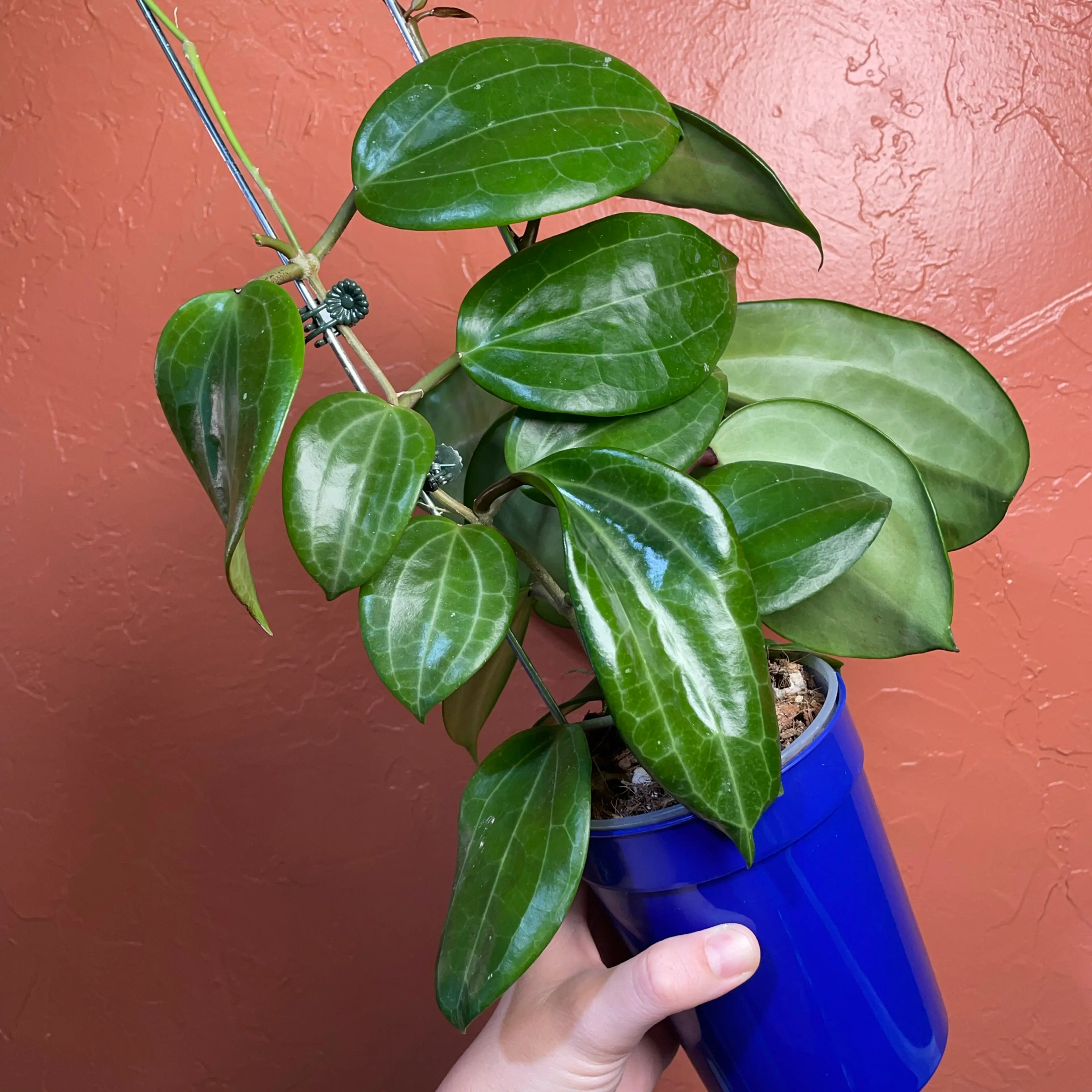 Image 3 of 3