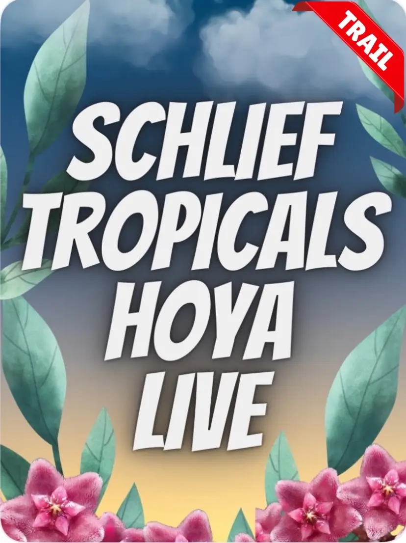 Livestream thumbnail