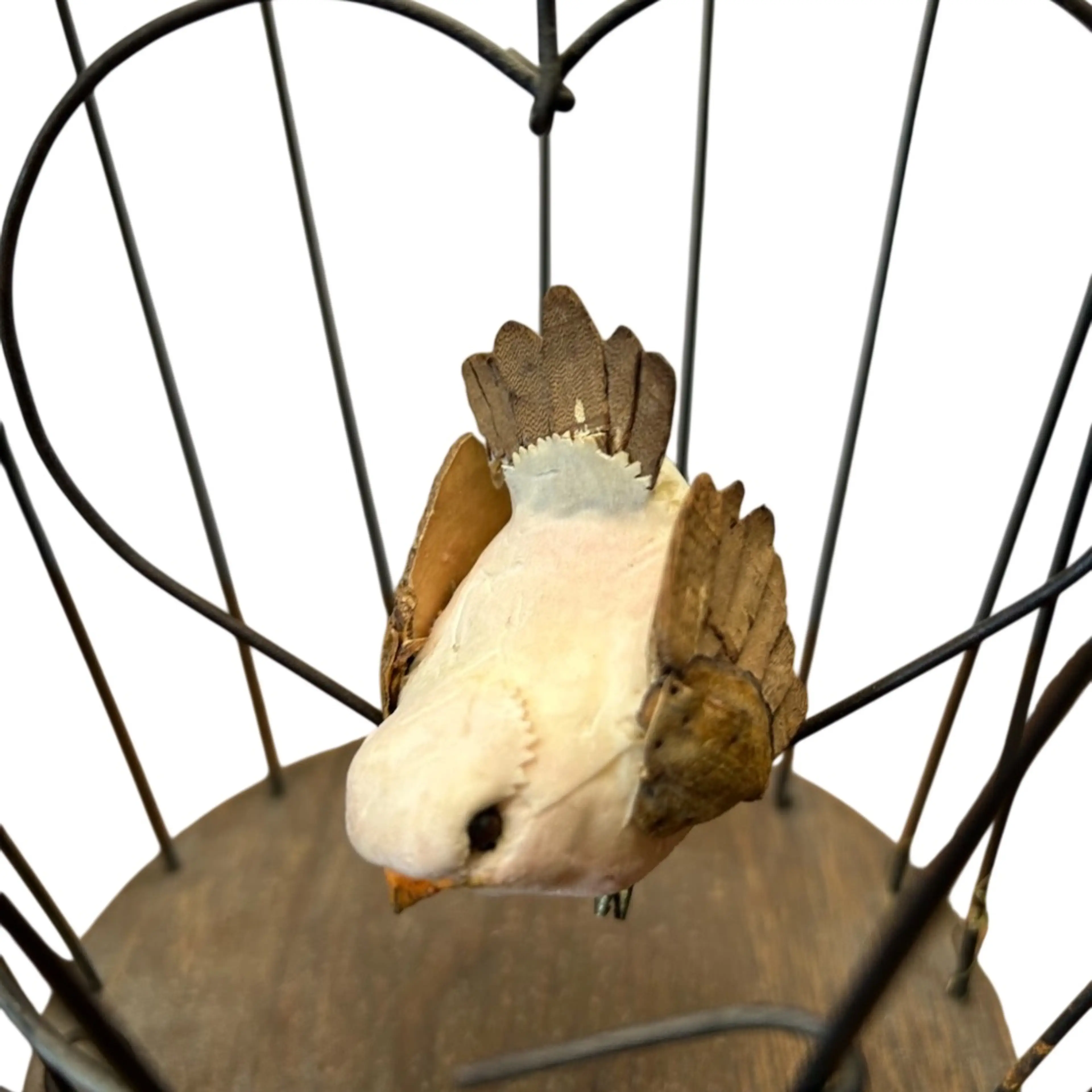 Image 3 of 4