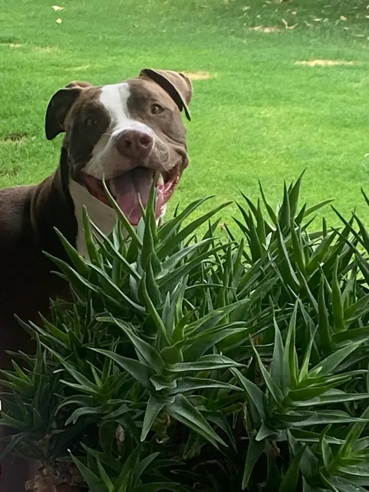 New Haul At Night - Jewelry, Home Decor, Figurines