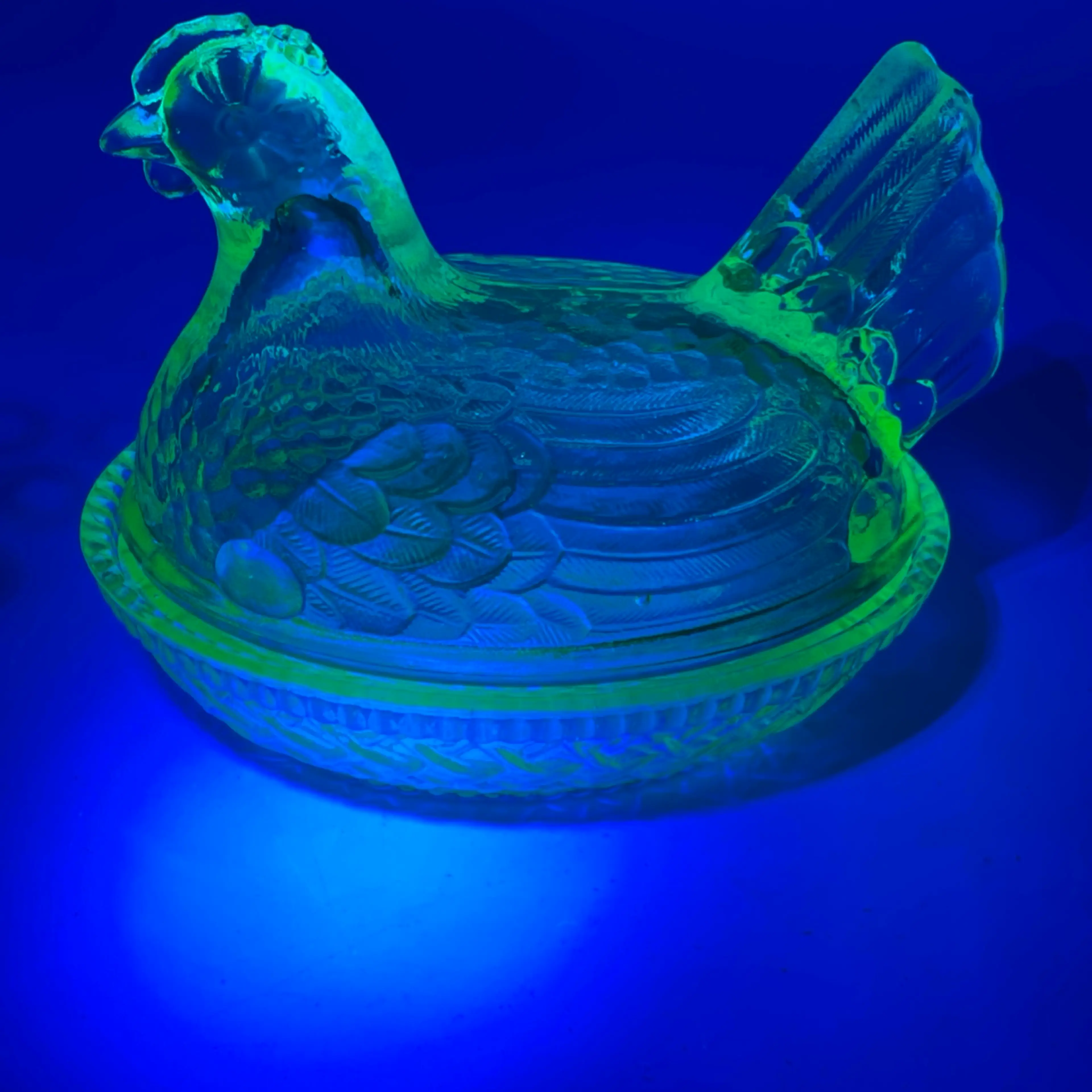 Image 4 of 12