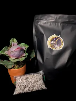 Brambles Brand Ping Mix - half gallon