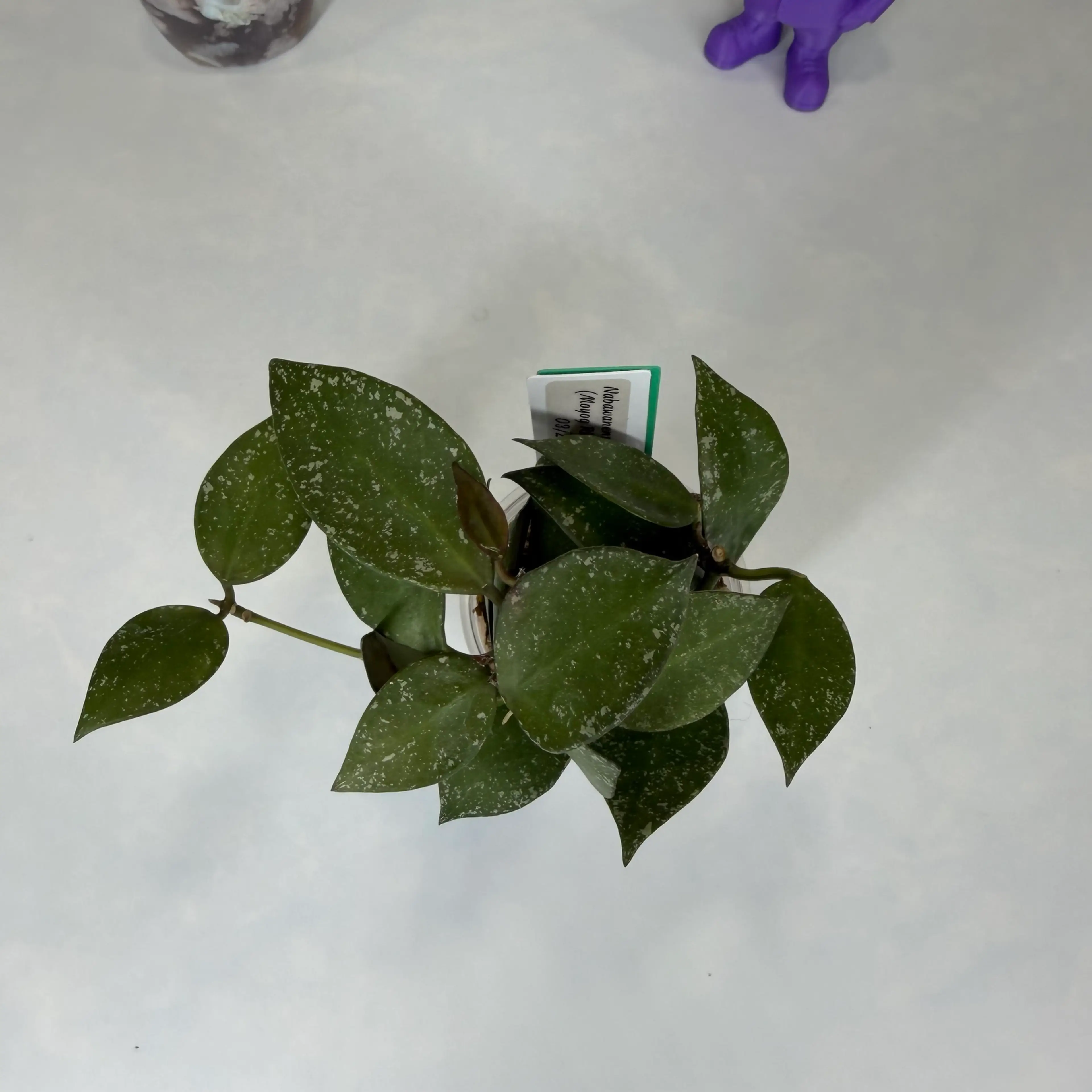 Image 4 of 4