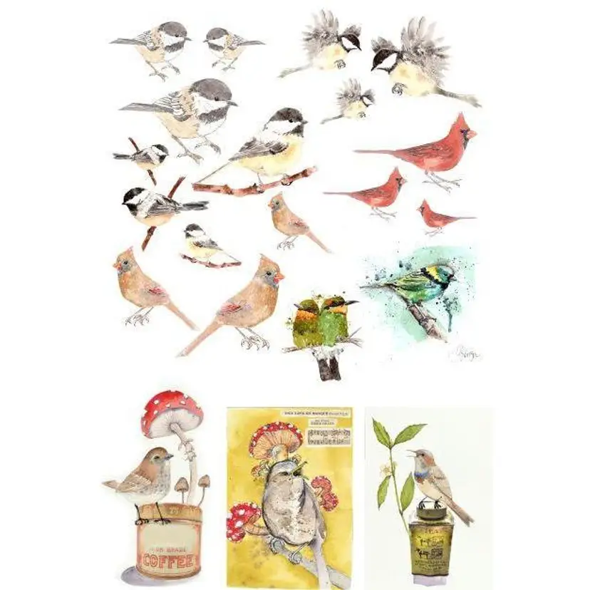 Roycycled - Catalog of Birds by Lexi Grenzer Decoupage Paper