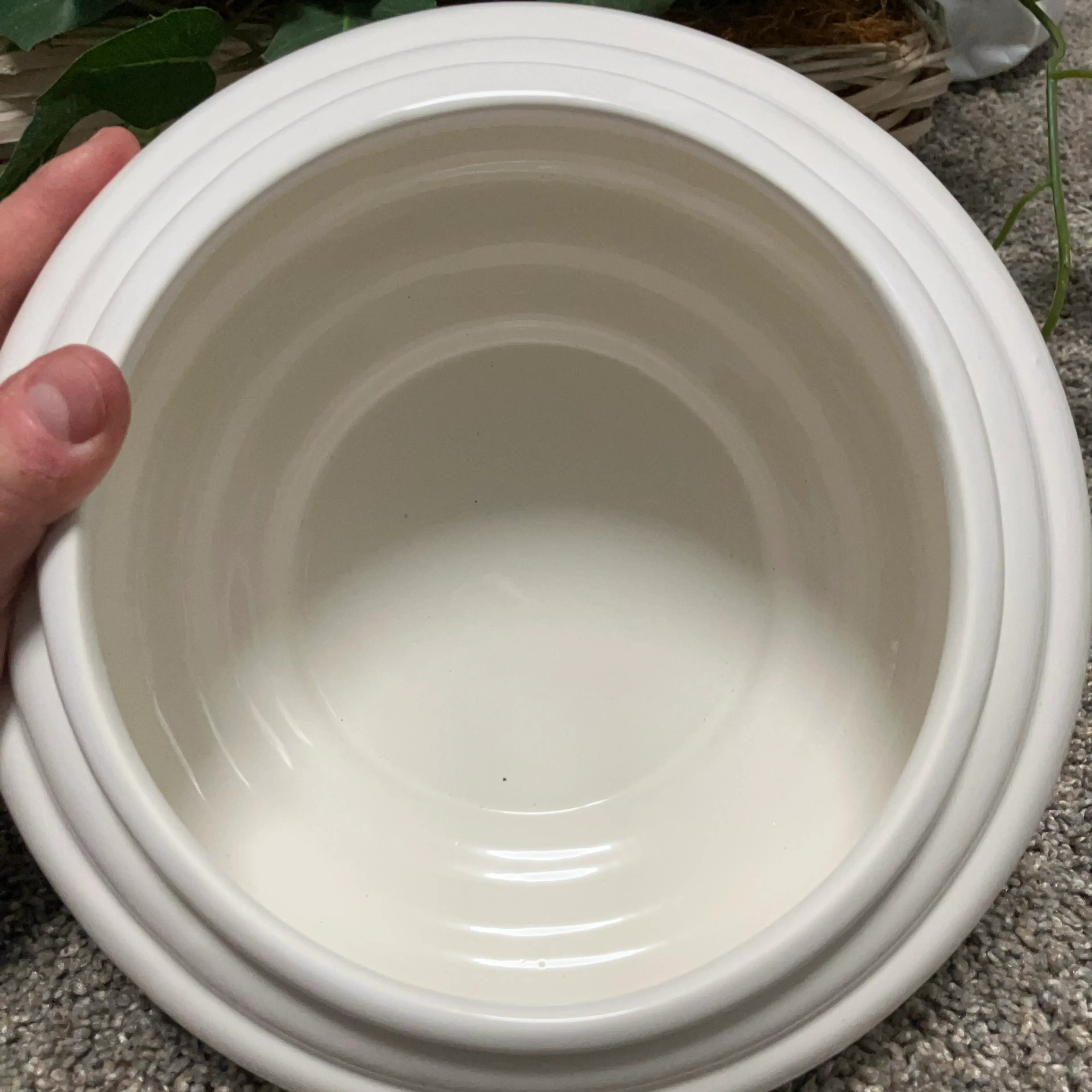Image 4 of 5