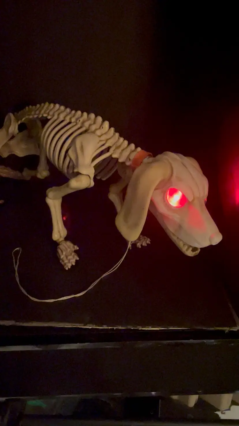 Halloween Skeleton Wolf Dog LED Red Eyes Growls Barks Animated Mouth