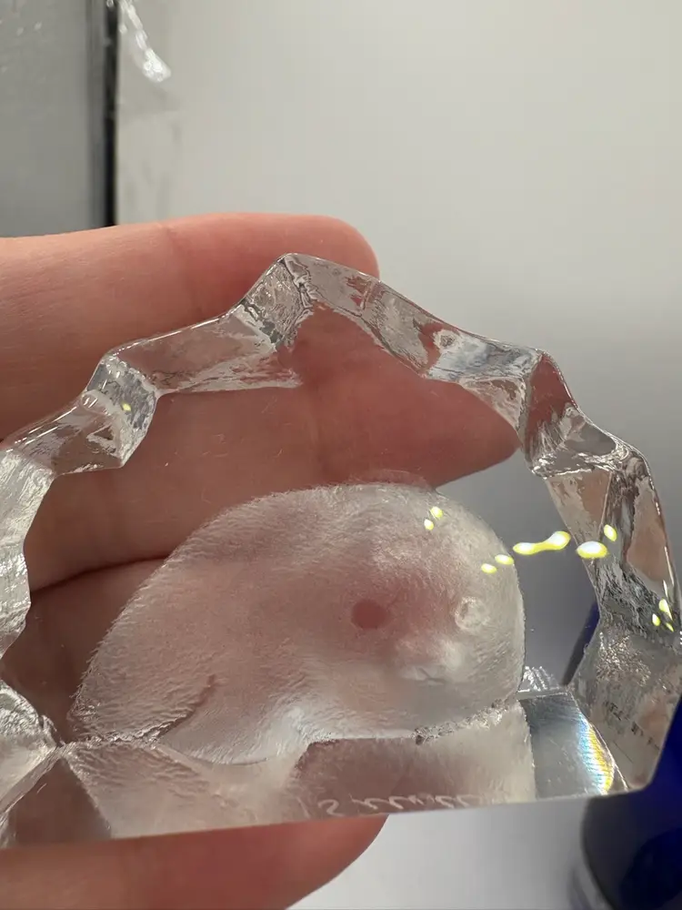 Small Mats Jonasson Baby Seal Crystal Paperweight 2.5”