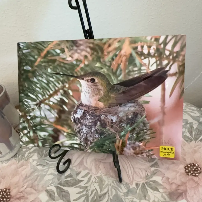 Photograph On Metal 12 X 8” Signed Richard Hahn