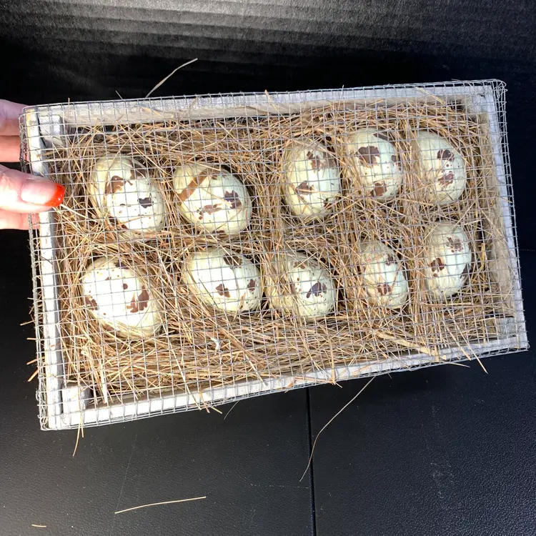 10-Eggs in a Crate