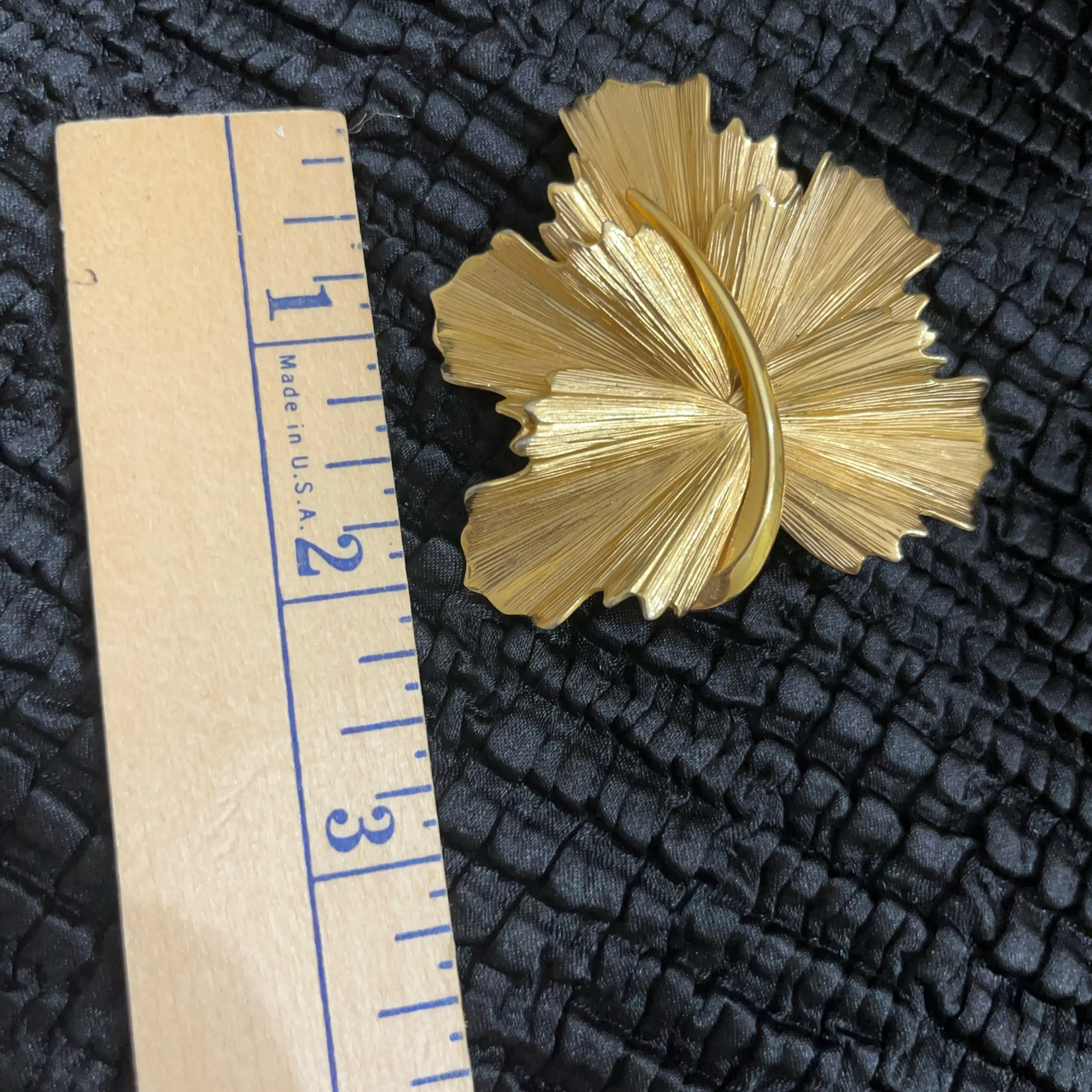 Image 5 of 5