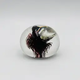 Hand Blown Studio Art Glass Paperweight Burgundy Cream Abstract Swirl Signed